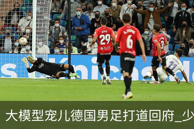 大模型宠儿德国男足打道回府 少了人性观察数据等于废纸